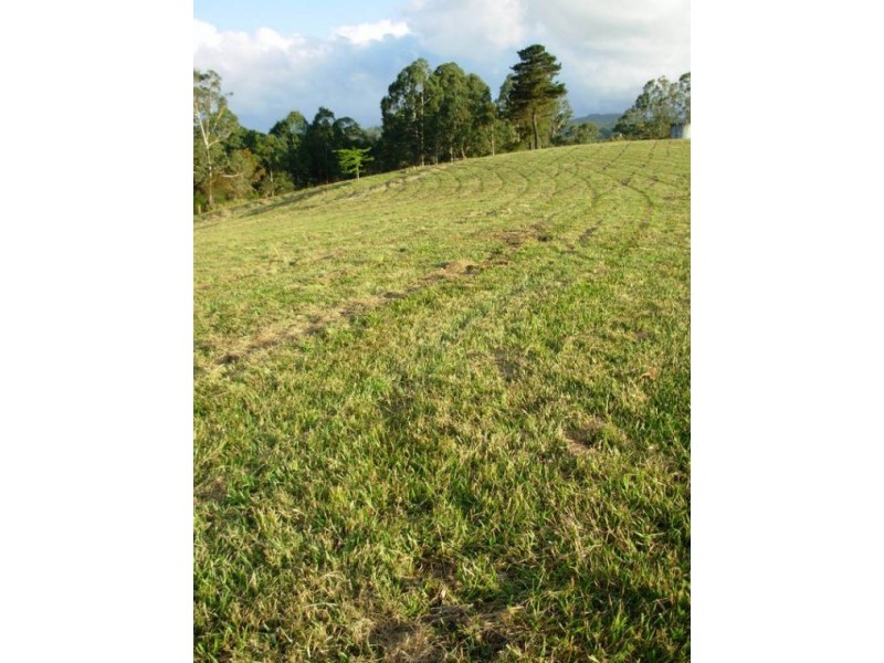 333 Moonpar Rd, Dorrigo NSW 2453