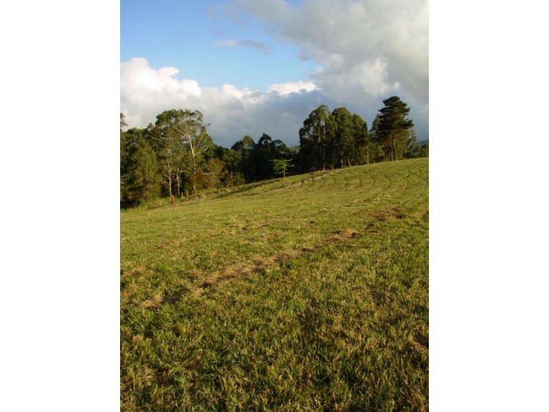 333 Moonpar Rd, Dorrigo NSW 2453