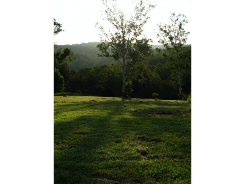 333 Moonpar Rd, Dorrigo NSW 2453