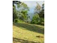 333 Moonpar Rd, Dorrigo NSW 2453