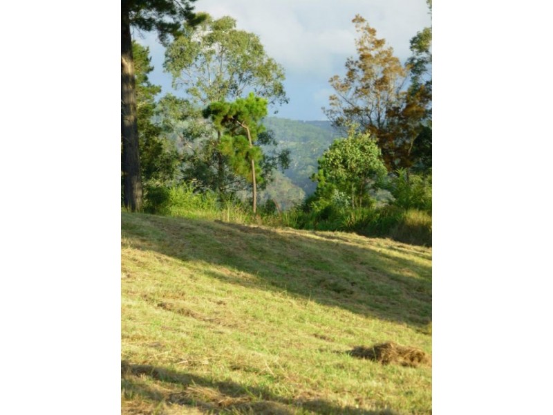 333 Moonpar Rd, Dorrigo NSW 2453