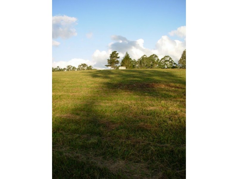 333 Moonpar Rd, Dorrigo NSW 2453