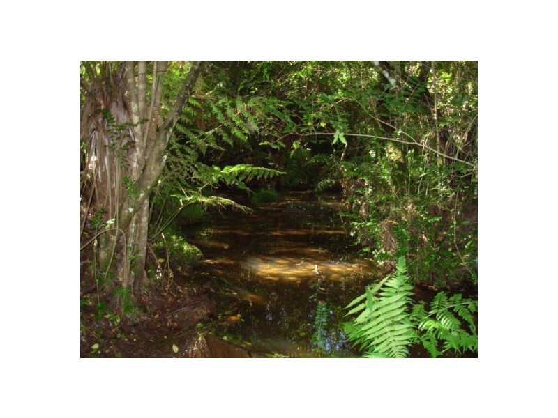 333 Moonpar Rd, Dorrigo NSW 2453