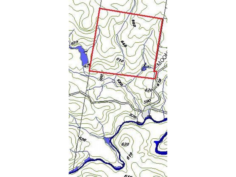 333 Moonpar Rd, Dorrigo NSW 2453