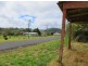 663 Tyringham Road, Dorrigo NSW 2453