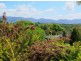 13 George Hewitt Close, Bellingen NSW 2454