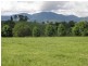 Bellingen NSW 2454