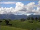 Bellingen NSW 2454