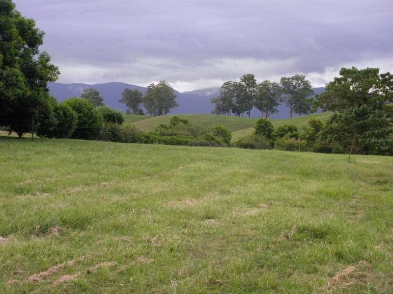 Bellingen NSW 2454