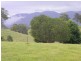 Bellingen NSW 2454