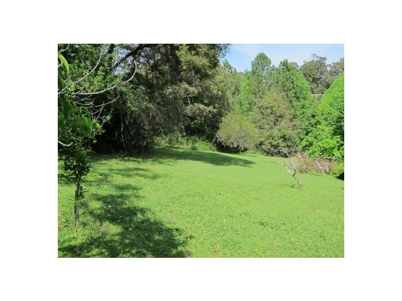 24 Blackbutt Avenue, Repton NSW 2454