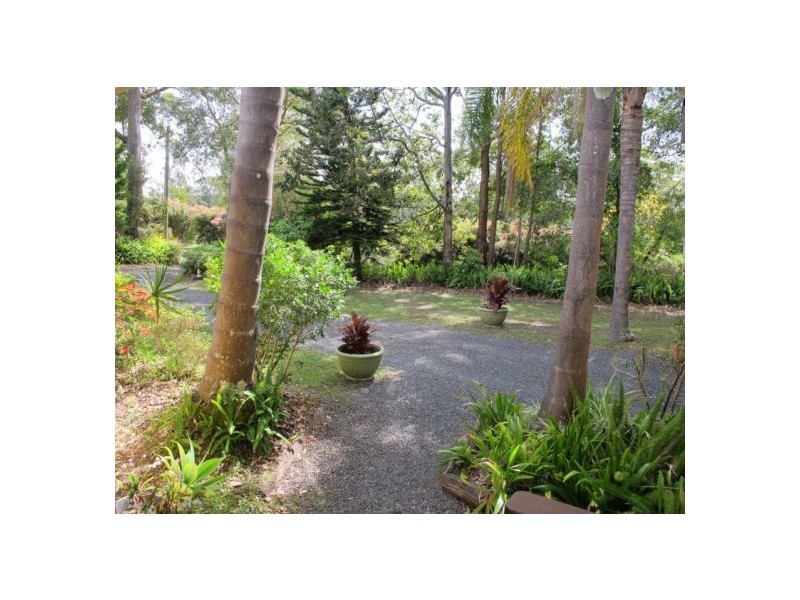 24 Blackbutt Avenue, Repton NSW 2454