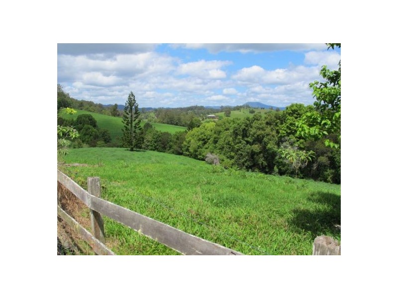 434 Hydes Creek Road, Bellingen NSW 2454