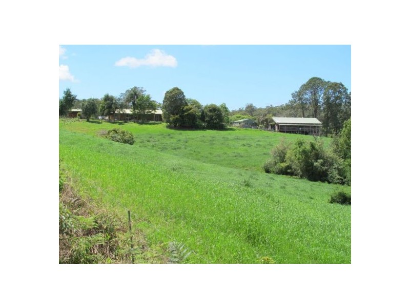 434 Hydes Creek Road, Bellingen NSW 2454