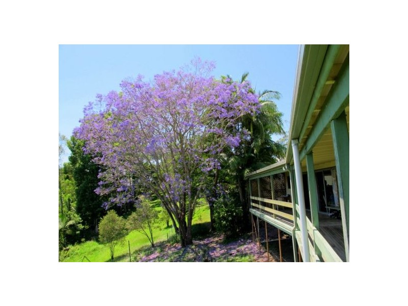 1-3 Dudley St, Bellingen NSW 2454