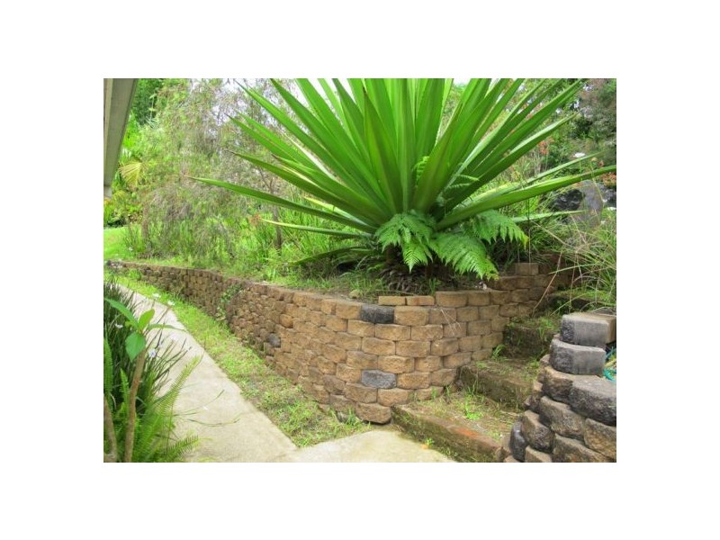 6 Cedar Court, Bellingen NSW 2454