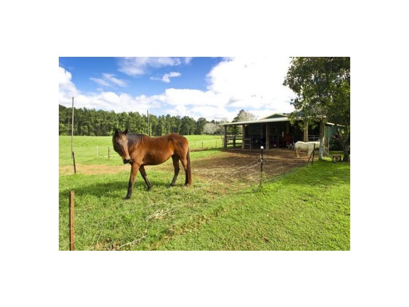 635 Gordonville Rd, Bellingen NSW 2454