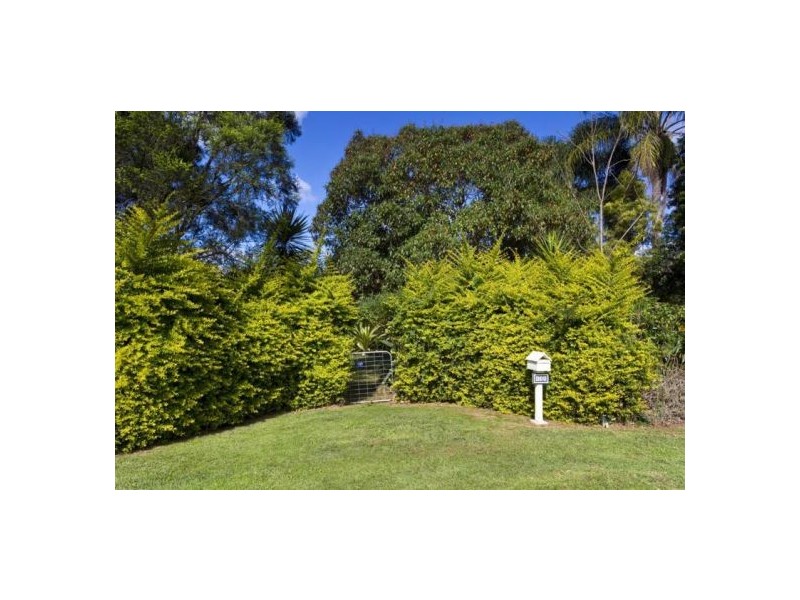 635 Gordonville Rd, Bellingen NSW 2454