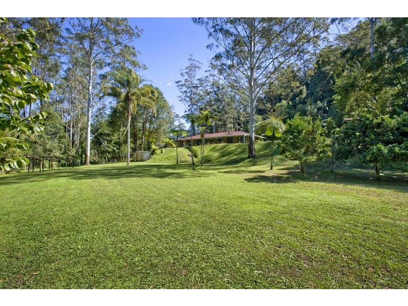 693 Kalang Road, Bellingen NSW 2454