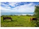 20 Henderson Street, Valla Beach NSW 2448