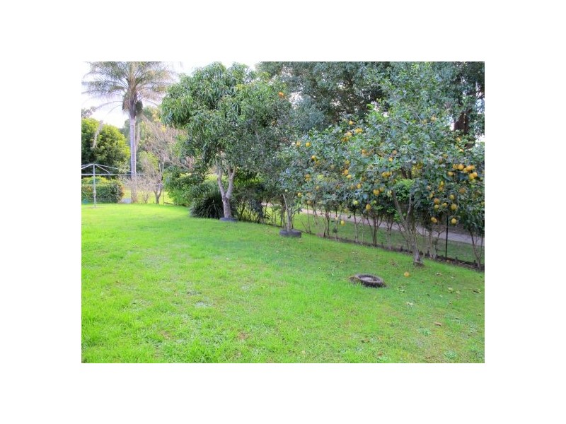 Bellingen NSW 2454