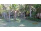 56 Pulsford Place, Fernmount, Bellingen NSW 2454