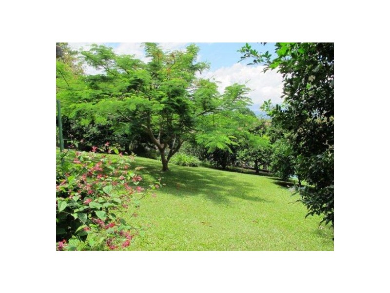 Bellingen NSW 2454