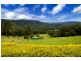 Bellingen NSW 2454