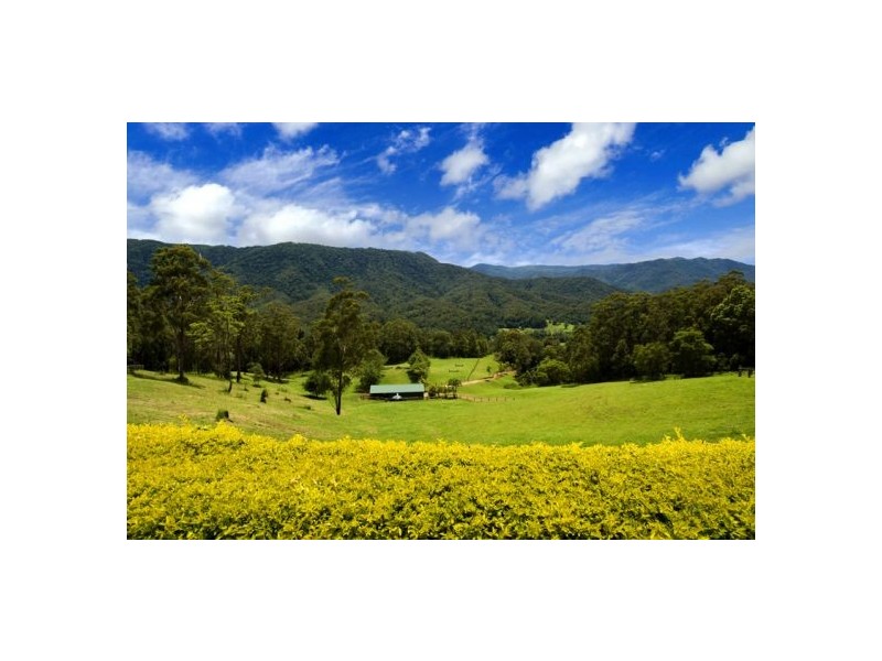 Bellingen NSW 2454