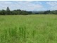 448 Gordonville Road, Gleniffer NSW 2454