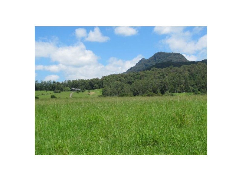448 Gordonville Road, Gleniffer NSW 2454