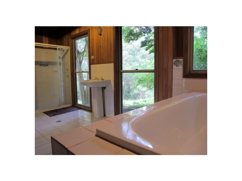 127  Cabans Rd Raleigh, Bellingen NSW 2454