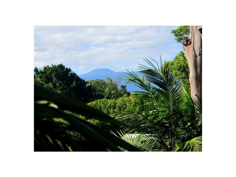 2 Evans St, Bellingen NSW 2454