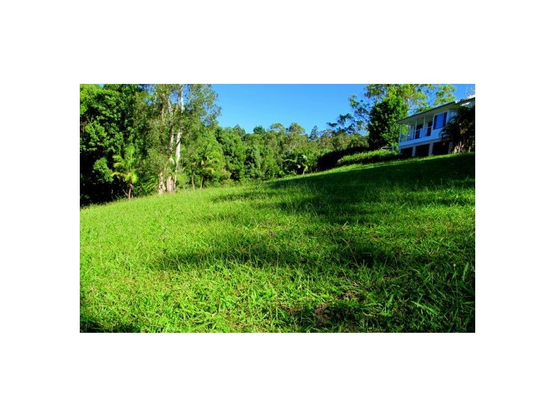 2 Evans St, Bellingen NSW 2454