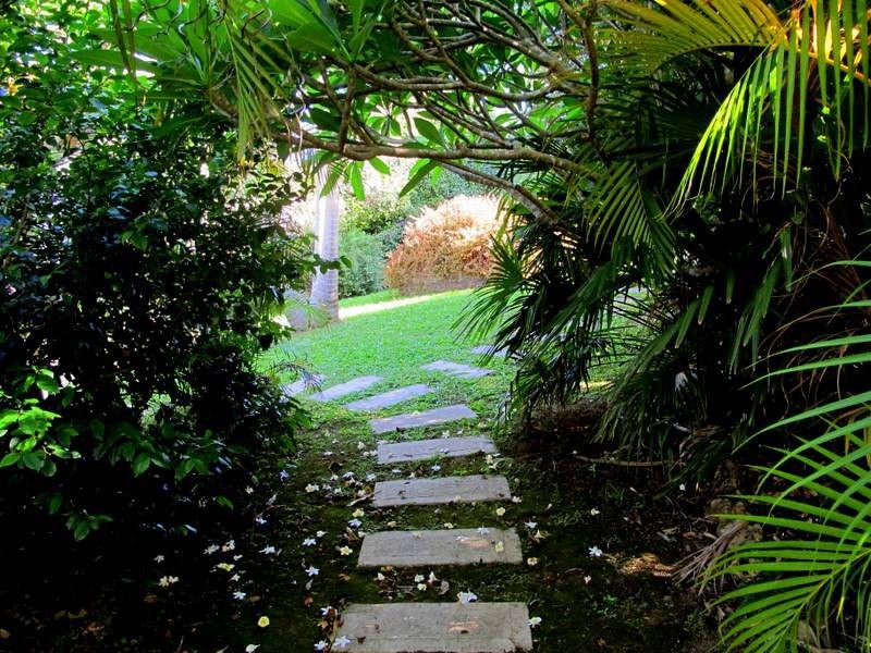 2 Evans St, Bellingen NSW 2454