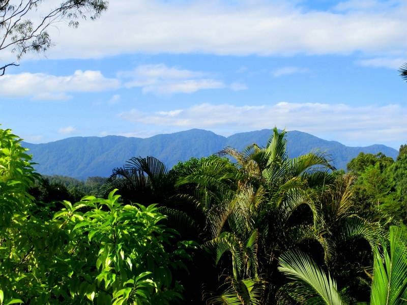 2 Evans St, Bellingen NSW 2454