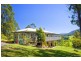 2727 Waterfall Way, Thora,, Bellingen NSW 2454