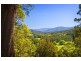 2727 Waterfall Way, Thora,, Bellingen NSW 2454