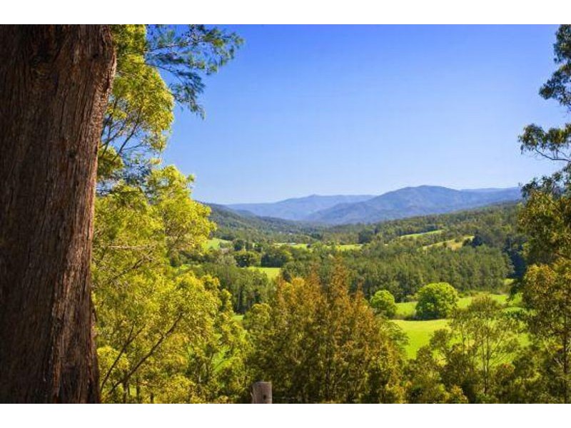 2727 Waterfall Way, Thora,, Bellingen NSW 2454