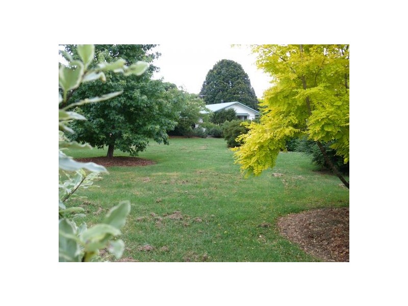 4799 Waterfall Way, Dorrigo NSW 2453