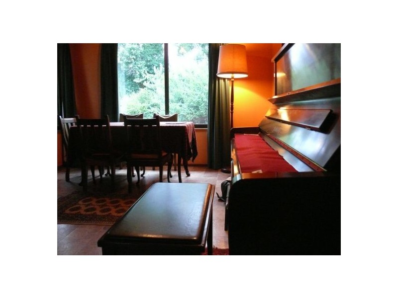 4799 Waterfall Way, Dorrigo NSW 2453