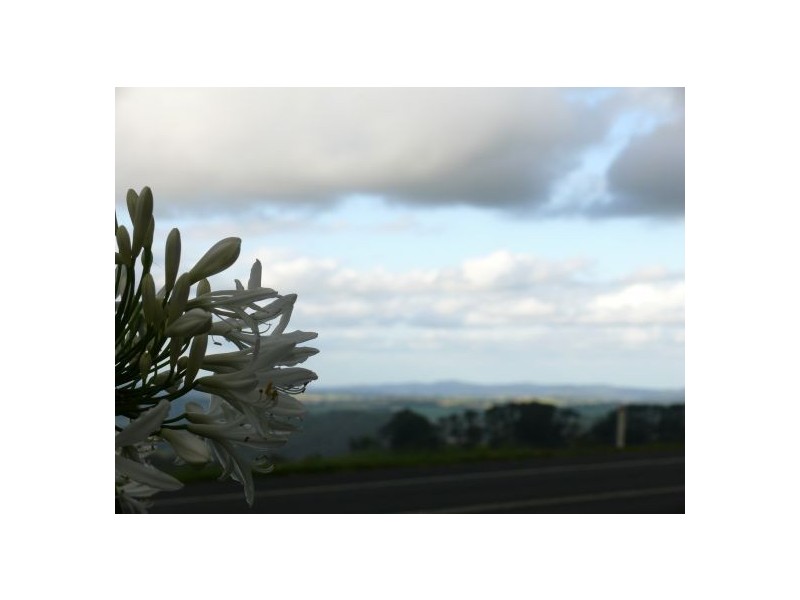 4799 Waterfall Way, Dorrigo NSW 2453