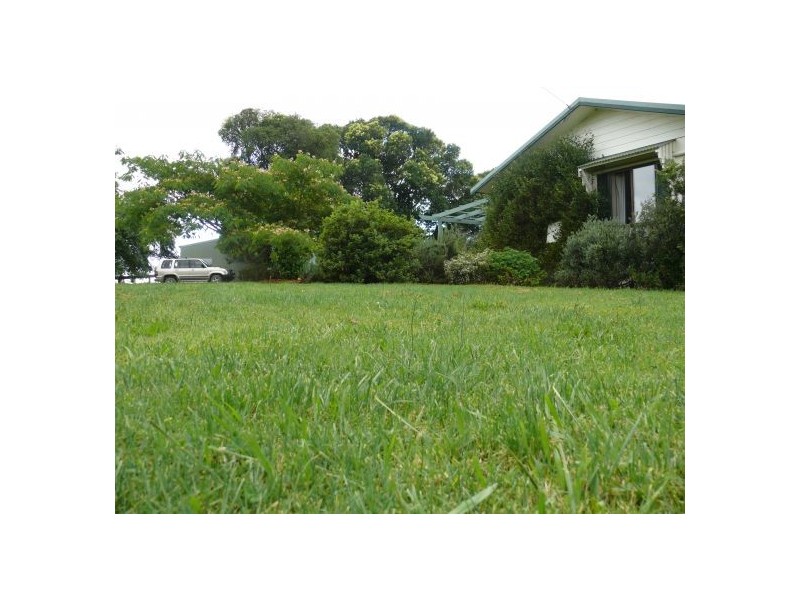 4799 Waterfall Way, Dorrigo NSW 2453