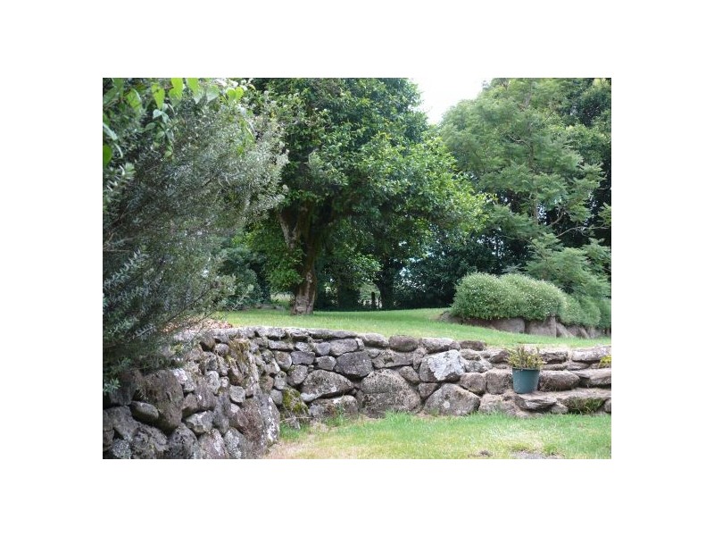 4799 Waterfall Way, Dorrigo NSW 2453