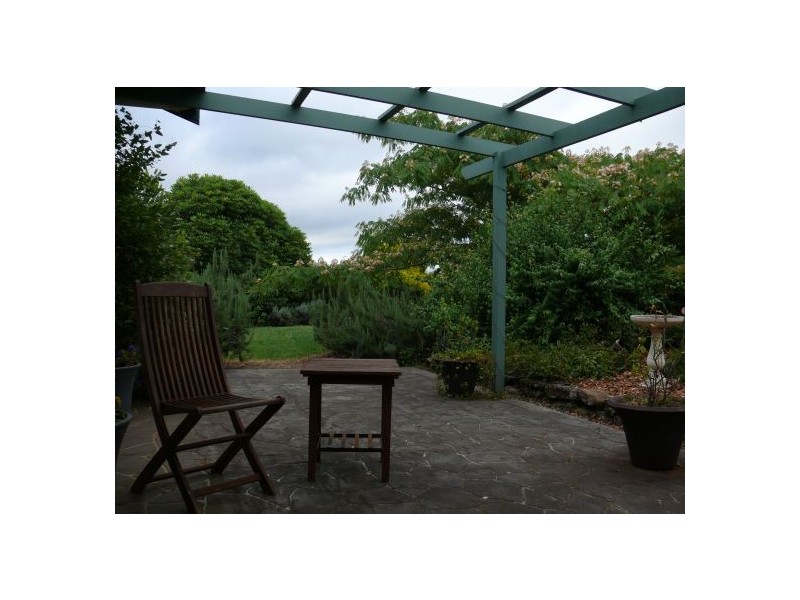 4799 Waterfall Way, Dorrigo NSW 2453