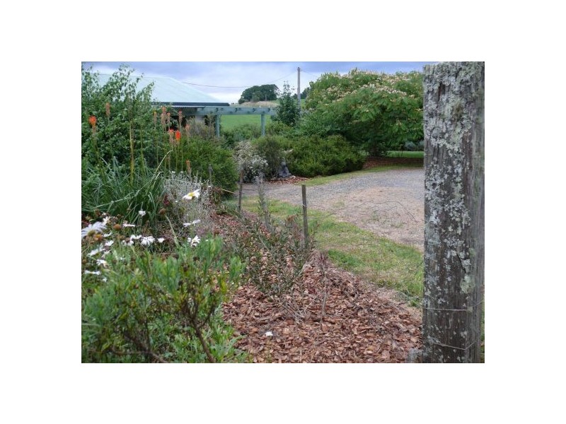 4799 Waterfall Way, Dorrigo NSW 2453