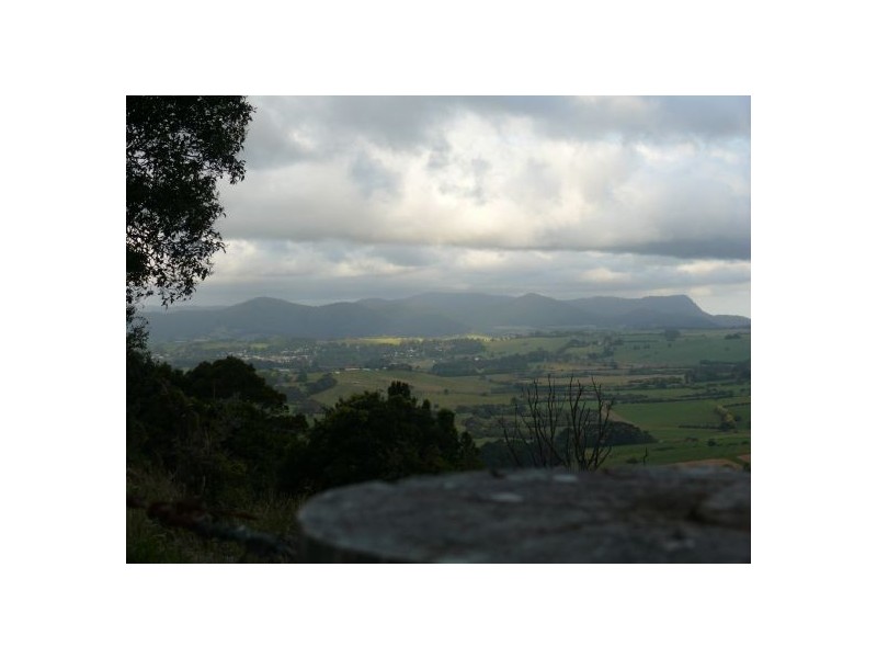 4799 Waterfall Way, Dorrigo NSW 2453