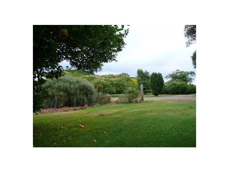 4799 Waterfall Way, Dorrigo NSW 2453