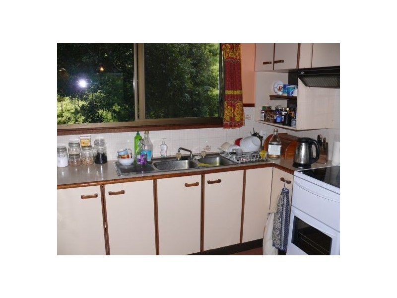 4799 Waterfall Way, Dorrigo NSW 2453