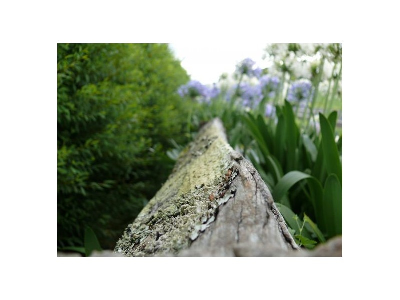 4799 Waterfall Way, Dorrigo NSW 2453